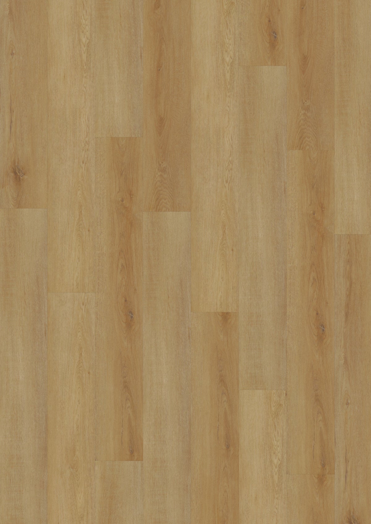 Delicate Oak Amber