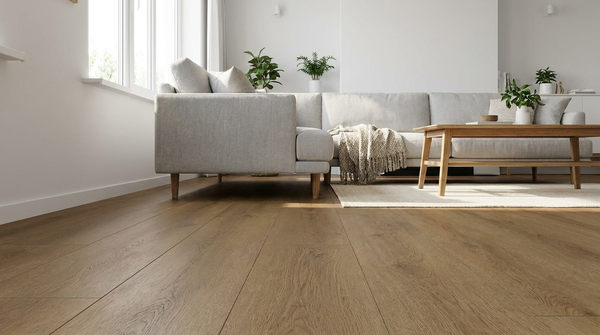 Dorset Roble
