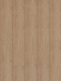 Mascun