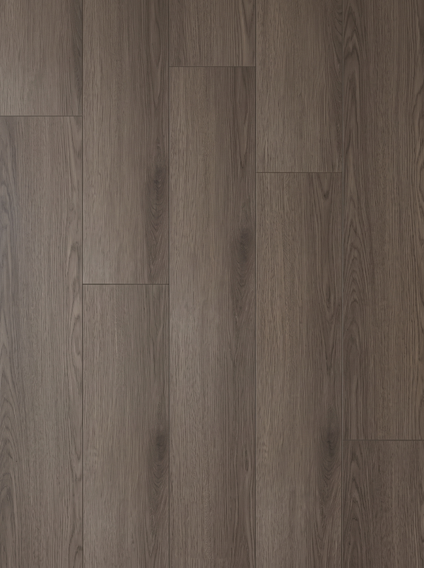 Vzorek – Dorset Roble