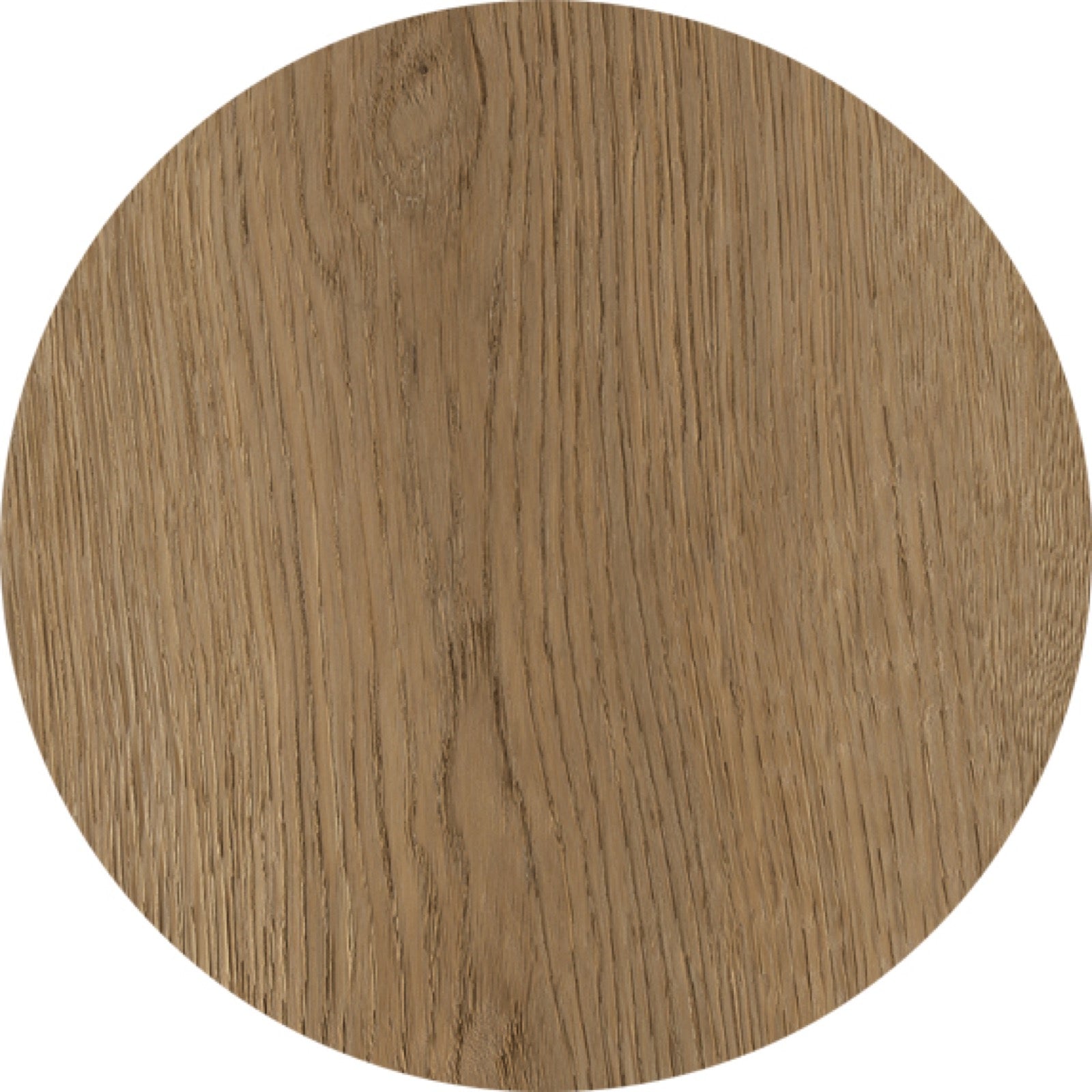 Dorset Roble
