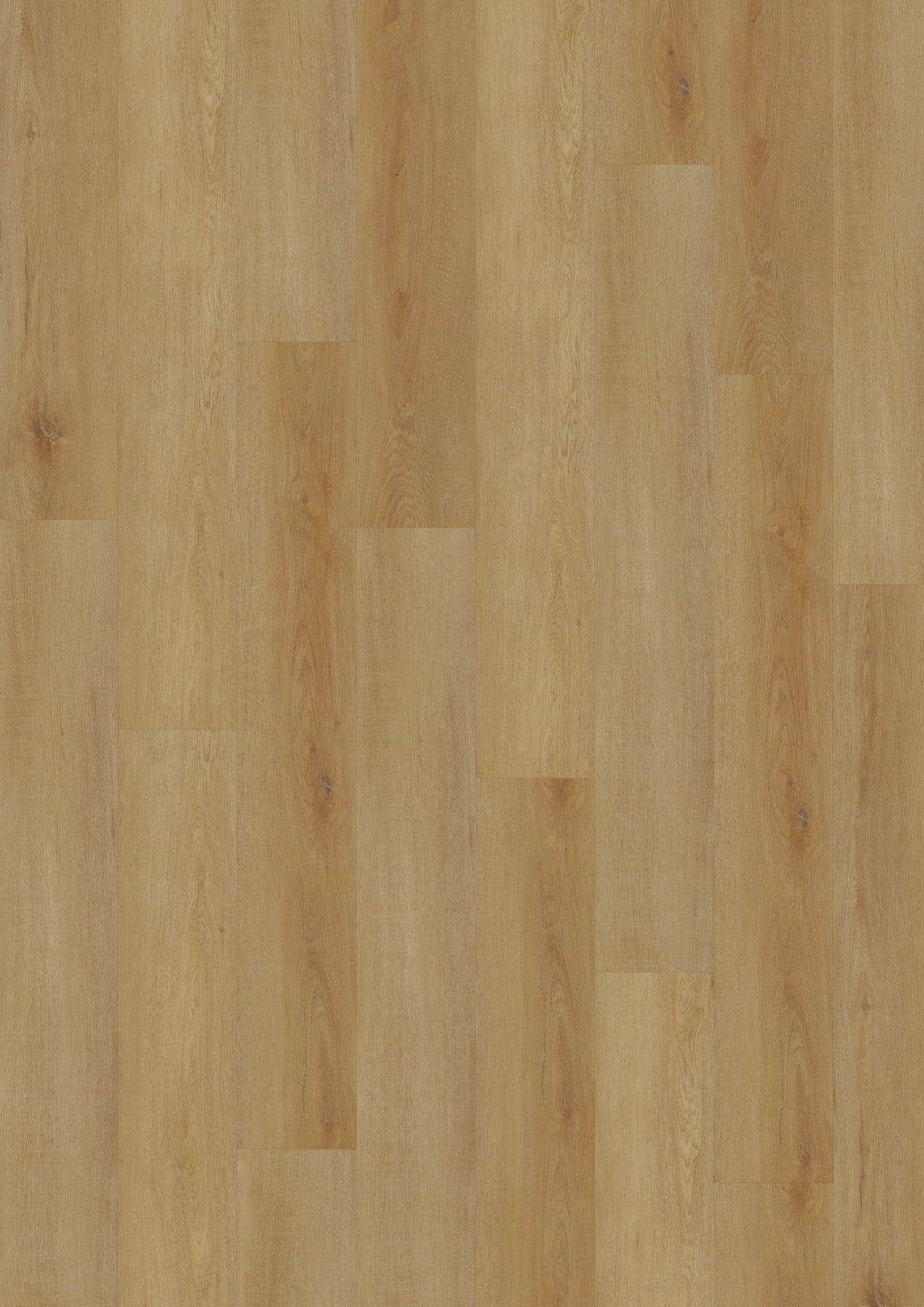 Delicate Oak Amber