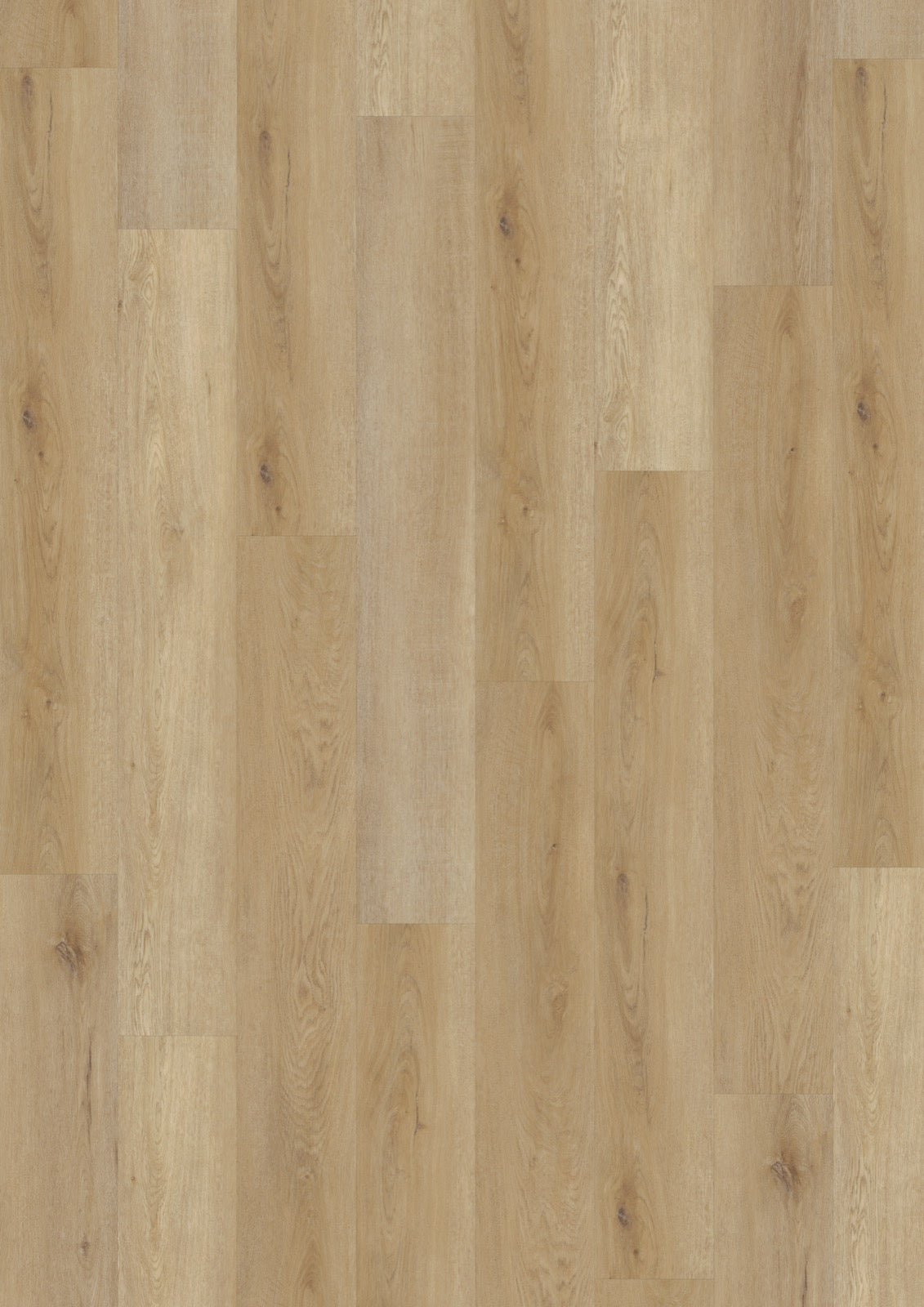 Delicate Oak Natural