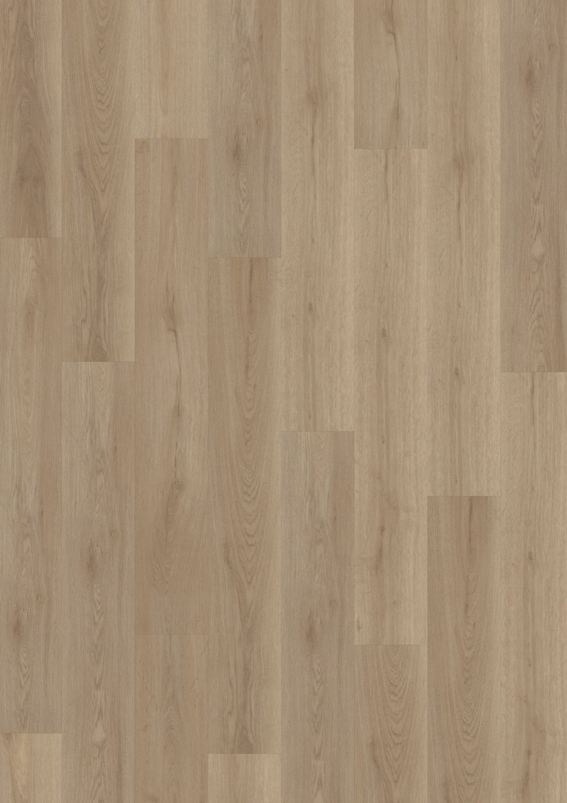 Nordic Oak Greige